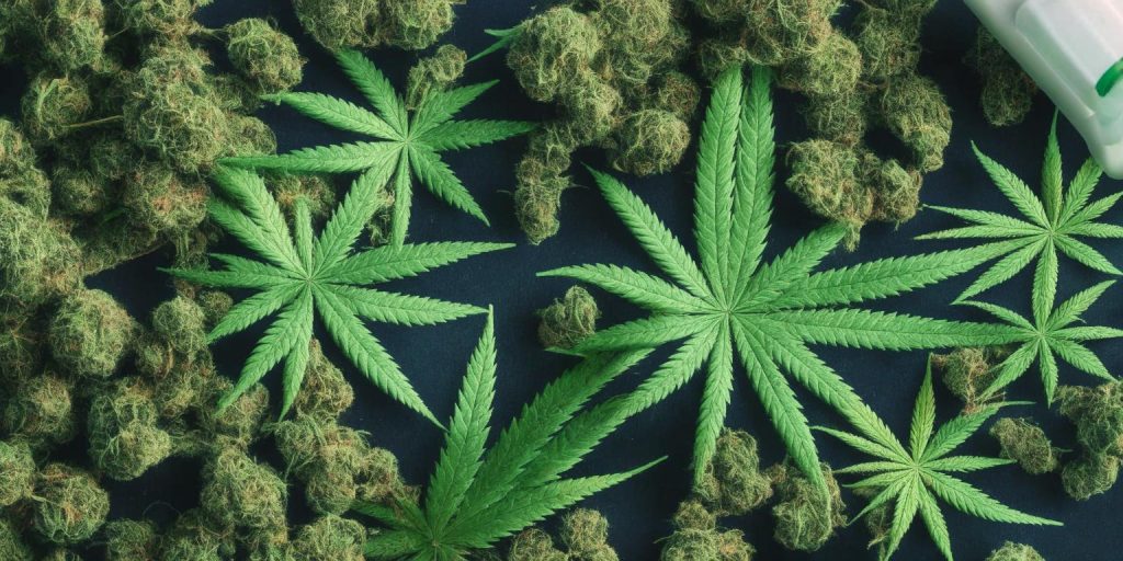 Understanding the Relationship Between Cannabis and Phentermine